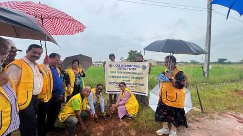 Plantation program by LCB City